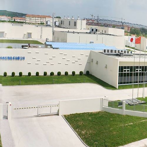 Xiaoxi